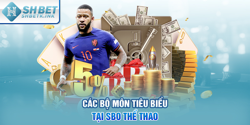 Các bộ môn tiêu biểu tại SBO thể thao