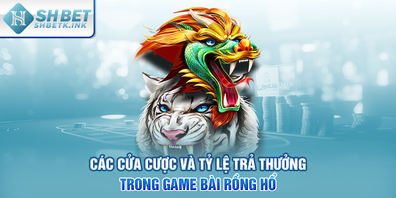 Các cửa cược và tỷ lệ trả thưởng trong game bài Rồng Hổ