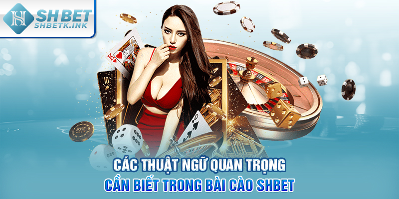 Các thuật ngữ quan trọng cần biết trong bài Cào SHBET