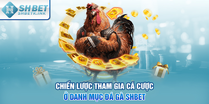 Chiến lược tham gia cá cược ở danh mục Đá Gà SHBET