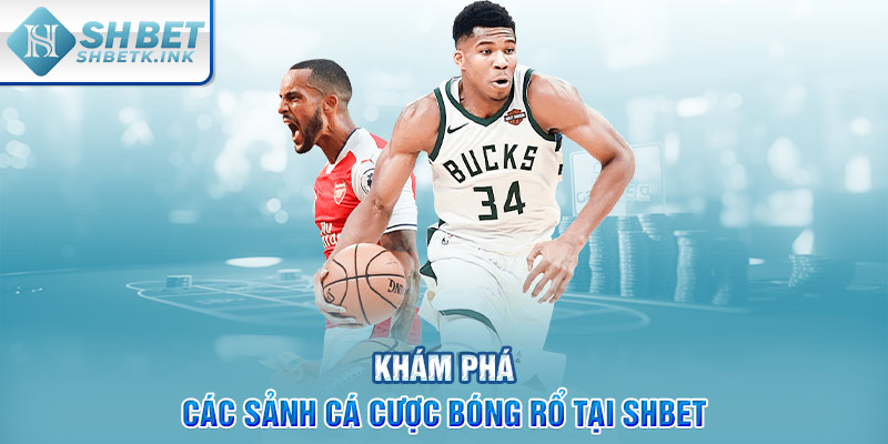 Khám phá các sảnh cá cược bóng rổ tại SHBET