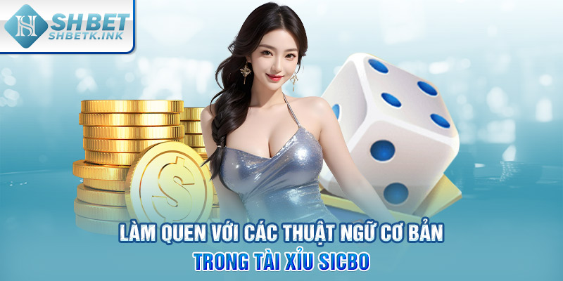 Làm quen với các thuật ngữ cơ bản trong Tài Xỉu Sicbo