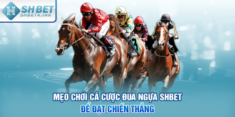 Mẹo chơi cá cược đua ngựa SHBET để đạt chiến thắng