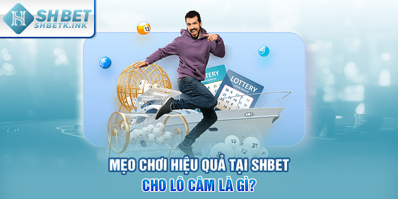 Mẹo chơi hiệu quả tại SHBET cho lô câm là gì?