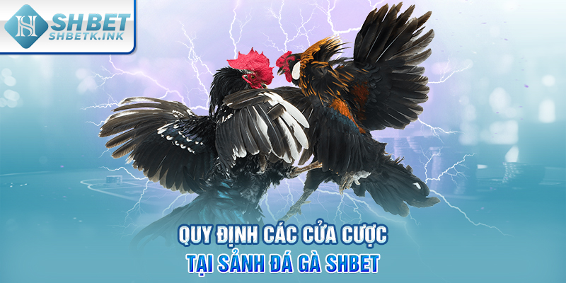 Quy định các cửa cược tại sảnh Đá Gà SHBET