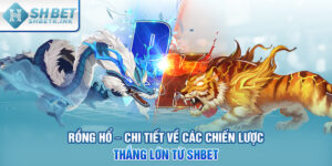 Rồng Hổ