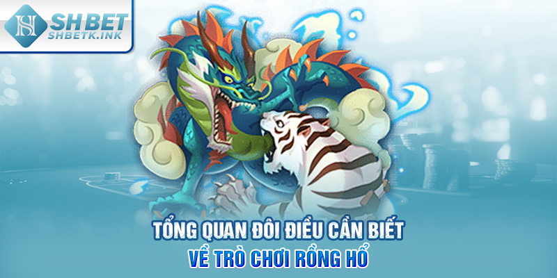 Tổng quan đôi điều cần biết về trò chơi Rồng Hổ