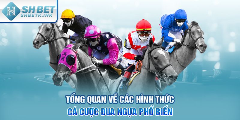 Tổng quan về các hình thức cá cược đua ngựa phổ biến