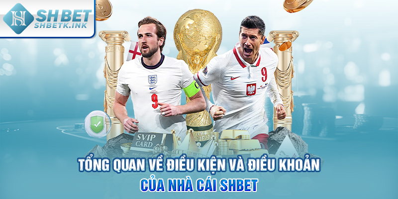 Tổng quan về điều kiện và điều khoản của nhà cái SHBET