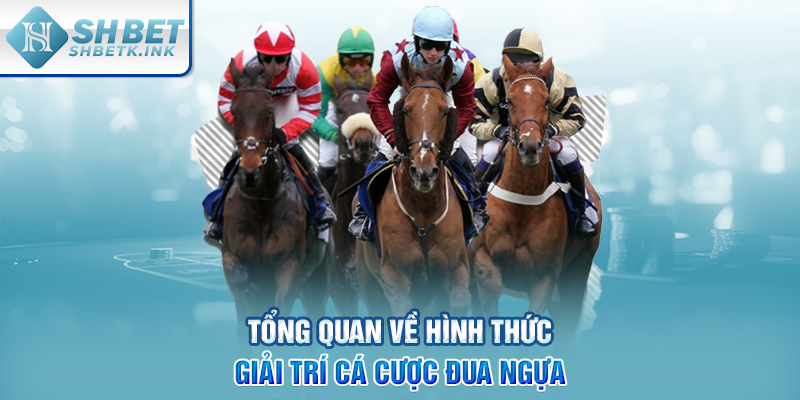 Tổng quan về hình thức giải trí cá cược đua ngựa