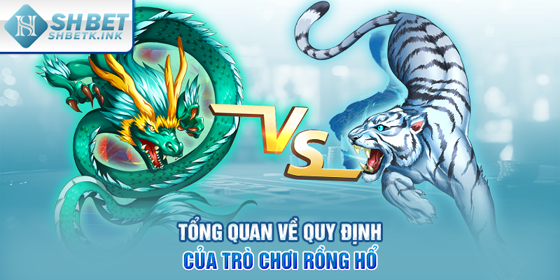 Tổng quan về quy định của trò chơi Rồng Hổ
