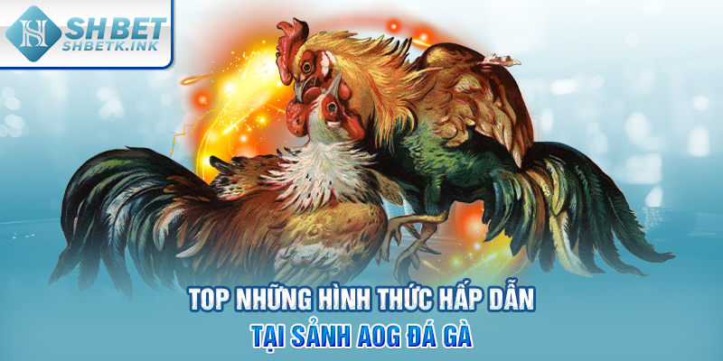 Top những hình thức hấp dẫn tại sảnh AOG đá gà